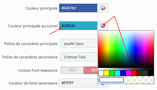 Couleur Principale Survol