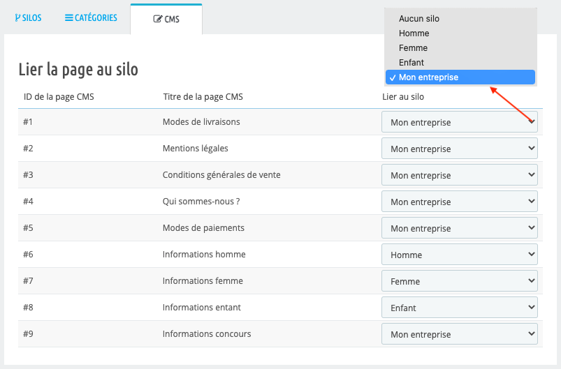 lier silos pages cms