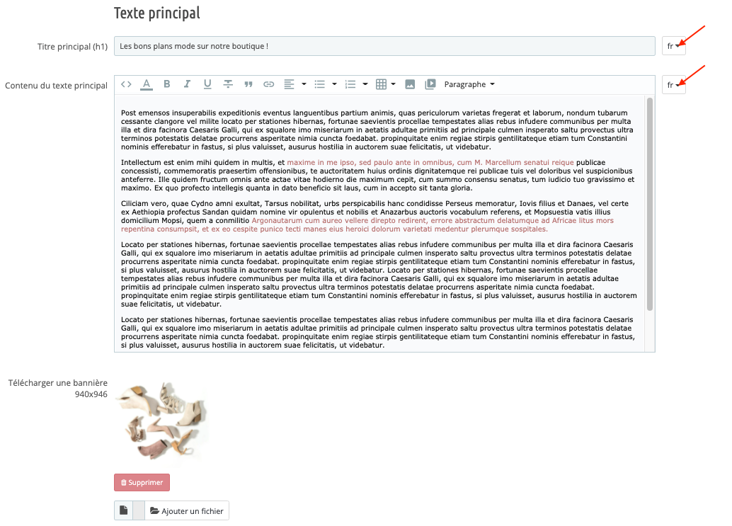 Titre H1 Et Texte Principal