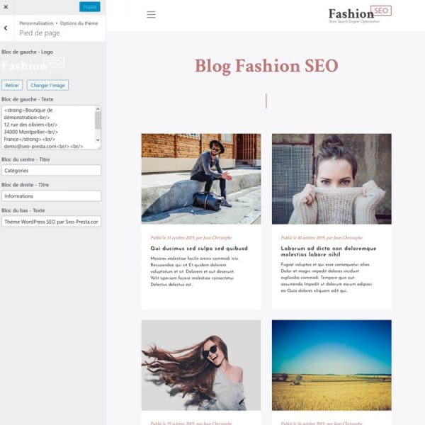Fashion Blog Options Footer