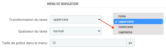Transformation Texte